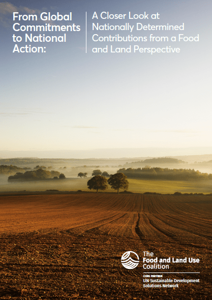 From global commitments to national action - Assessing the NDCs from a food land perspective cover