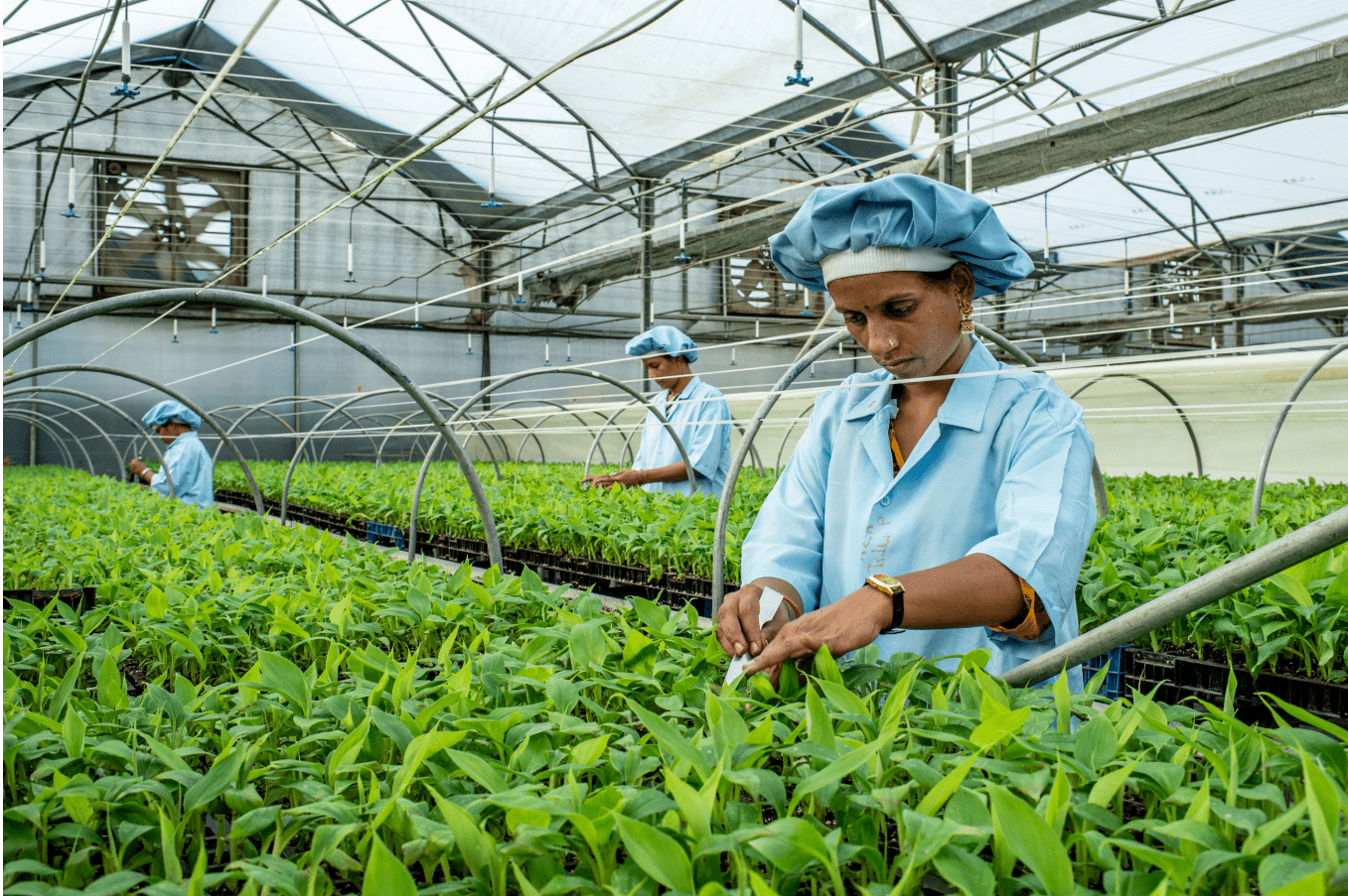 Systemiq food and land use coalition
