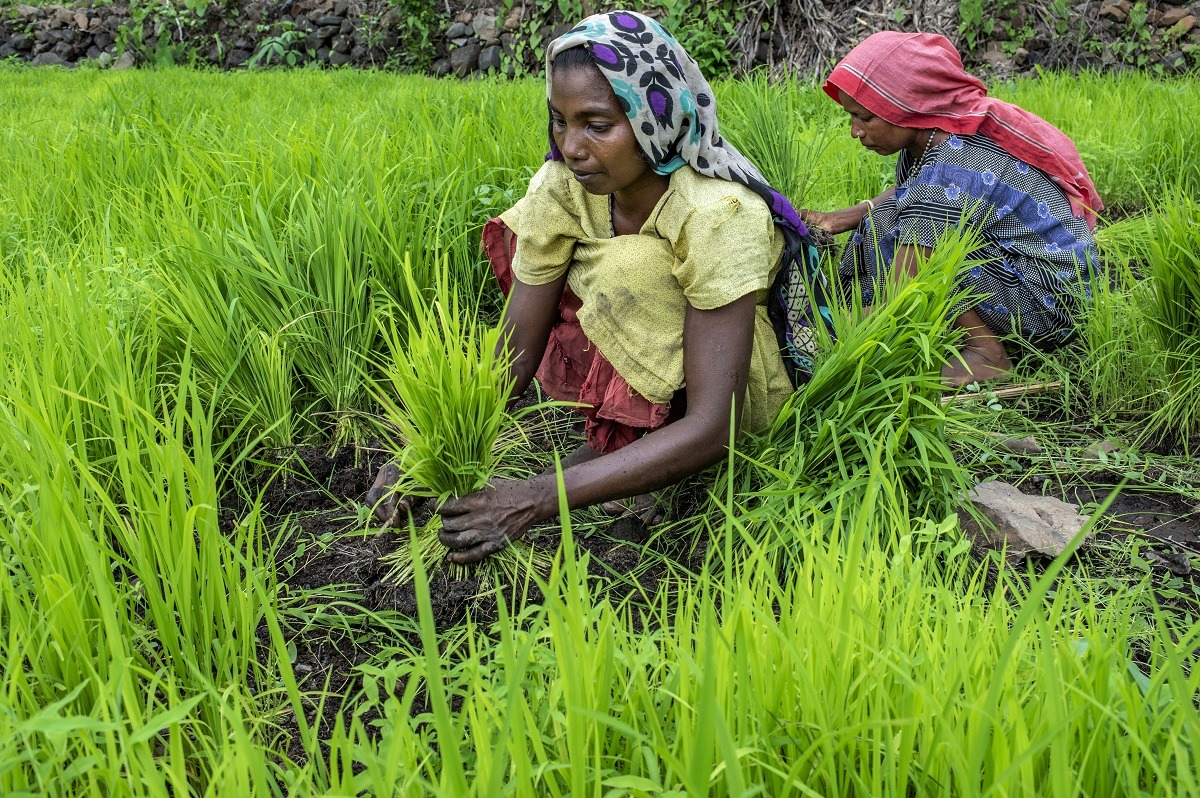 Regen10 food and land use coalition