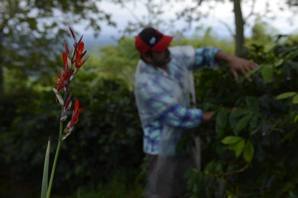 Collaborating to drive action in Colombia