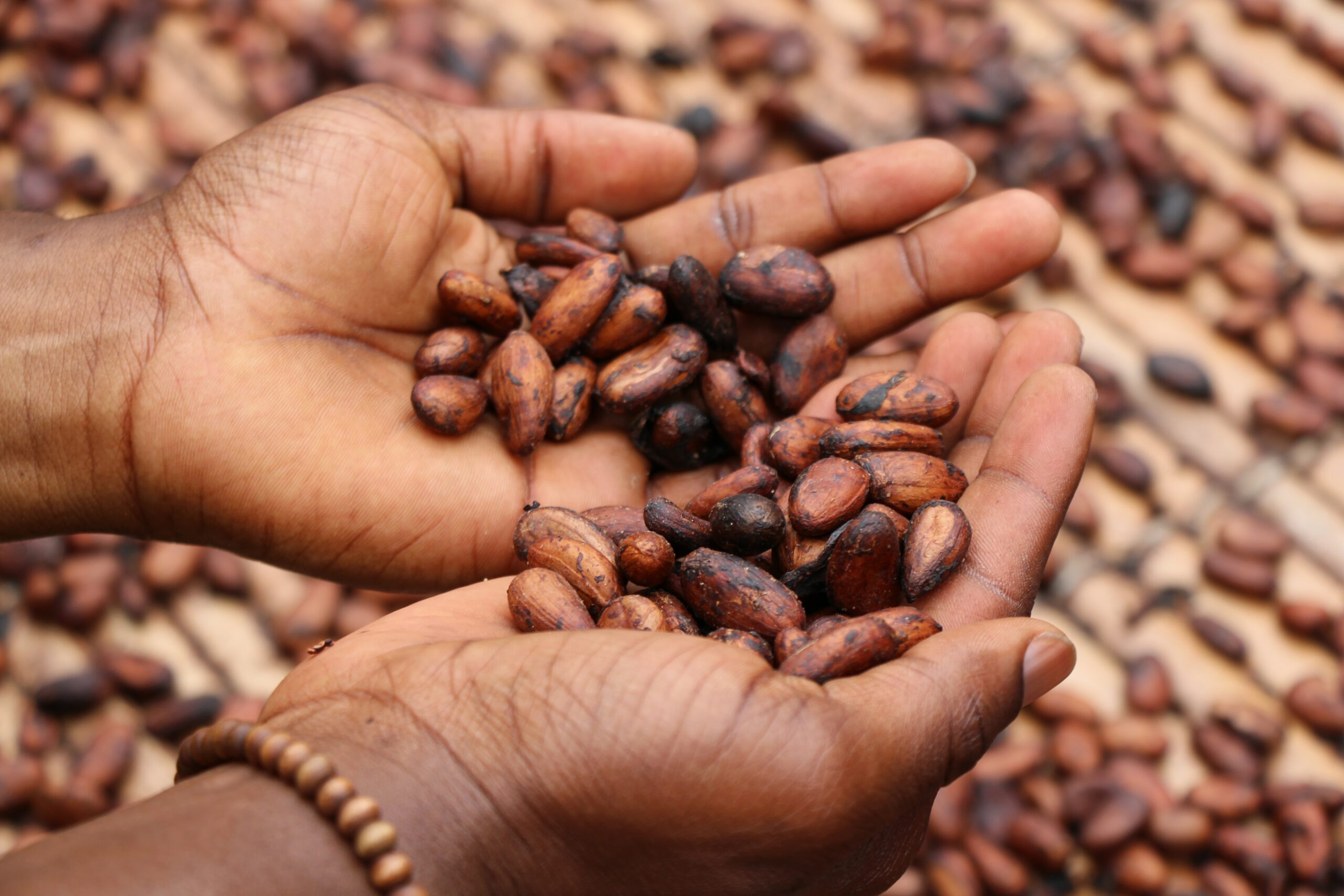 Inclusivity: A catalyst for sustainable food systems in Africa