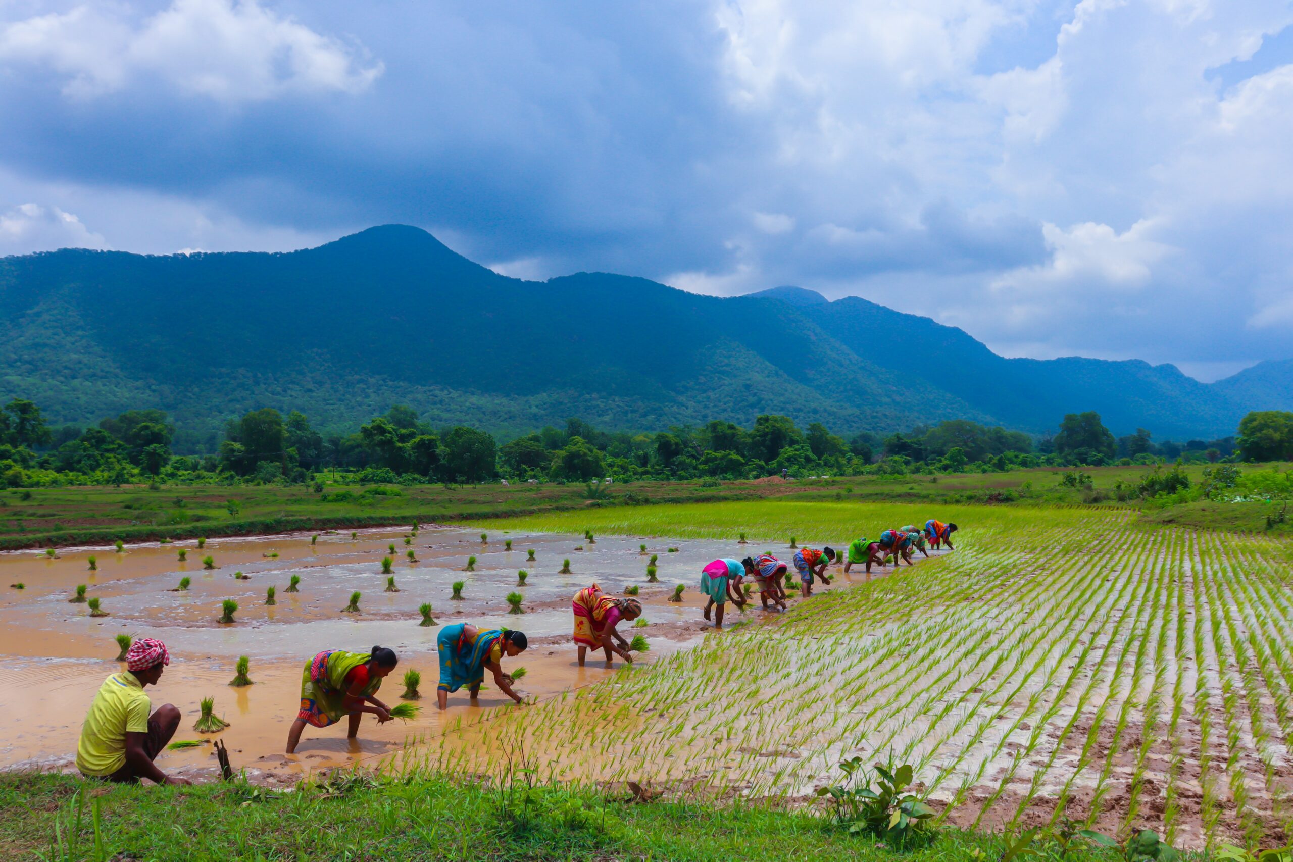 Food systems have been on the backburner too long – at COP28 that must change