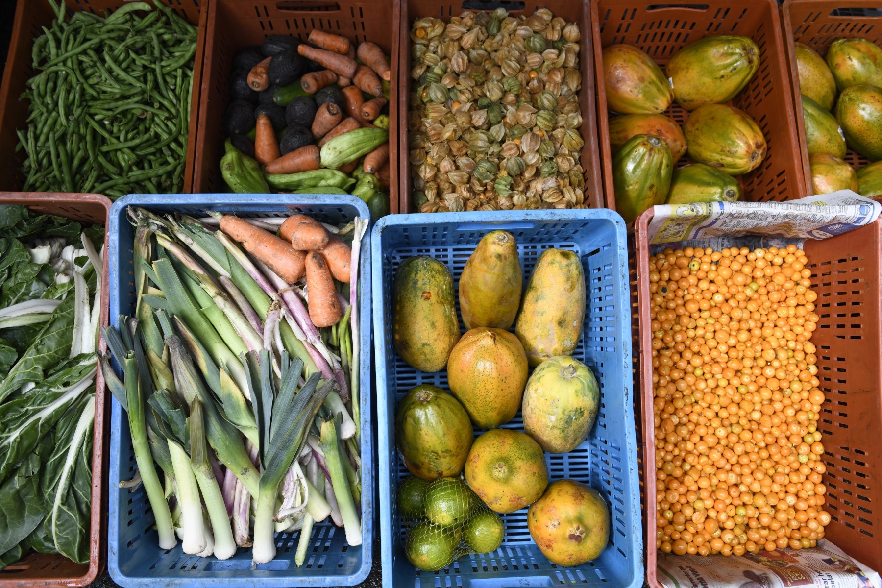 In Colombia, the department of Santander charts a new course to transform its food systems