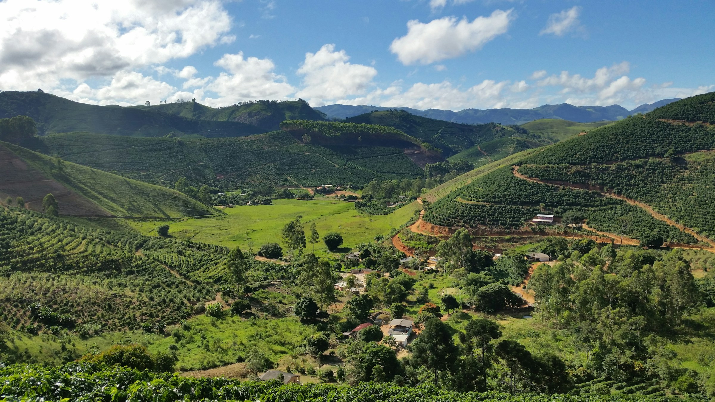 From Policy to Practice: How FOLU Brazil is supporting a new era of regenerative agriculture 