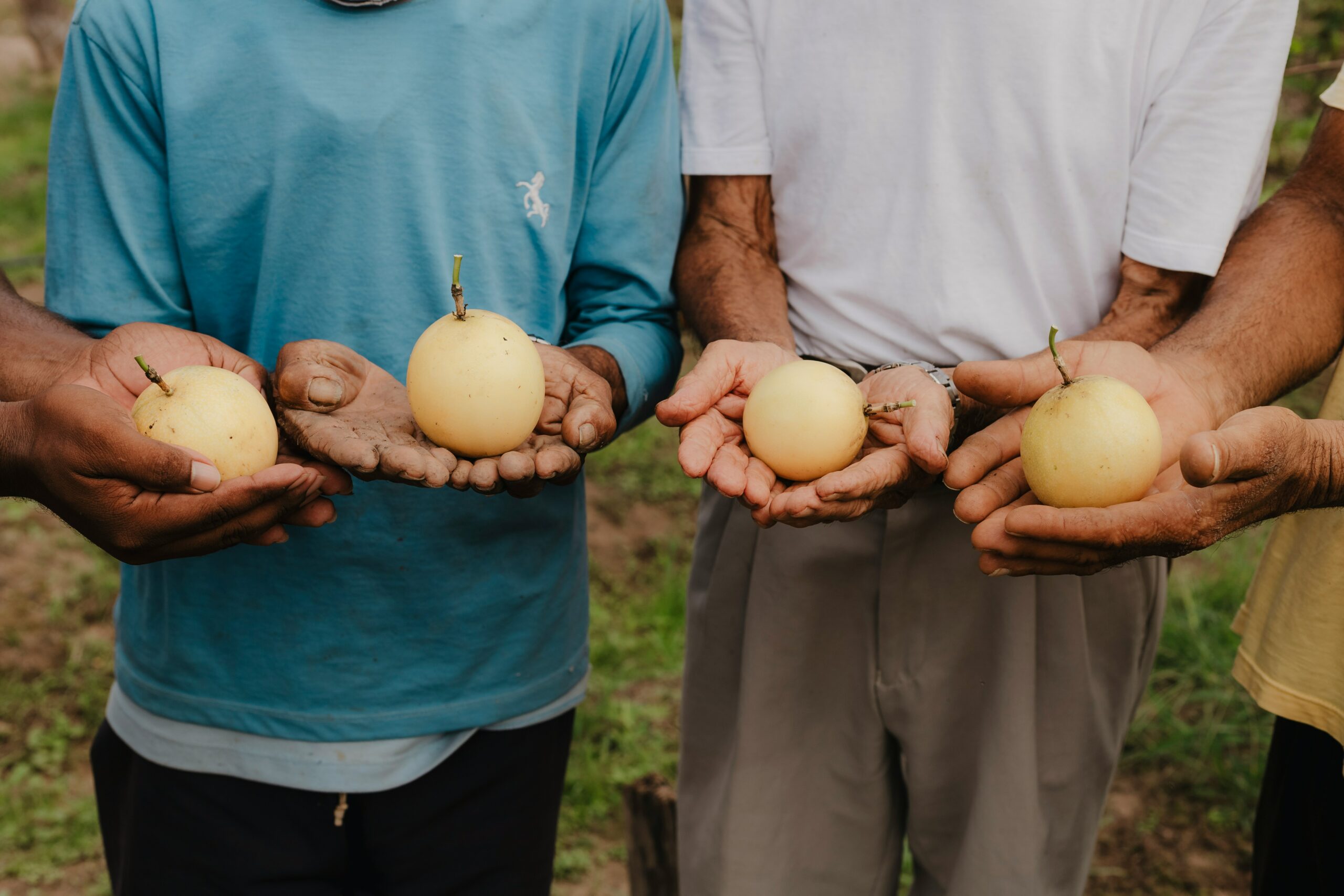 Could COP30 be a game-changer for food systems? Brazil’s moment to lead