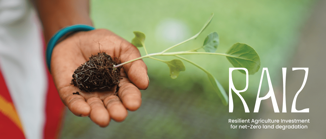 COP30: Ten countries back Brazil-led finance accelerator to scale farmland restoration worldwide 