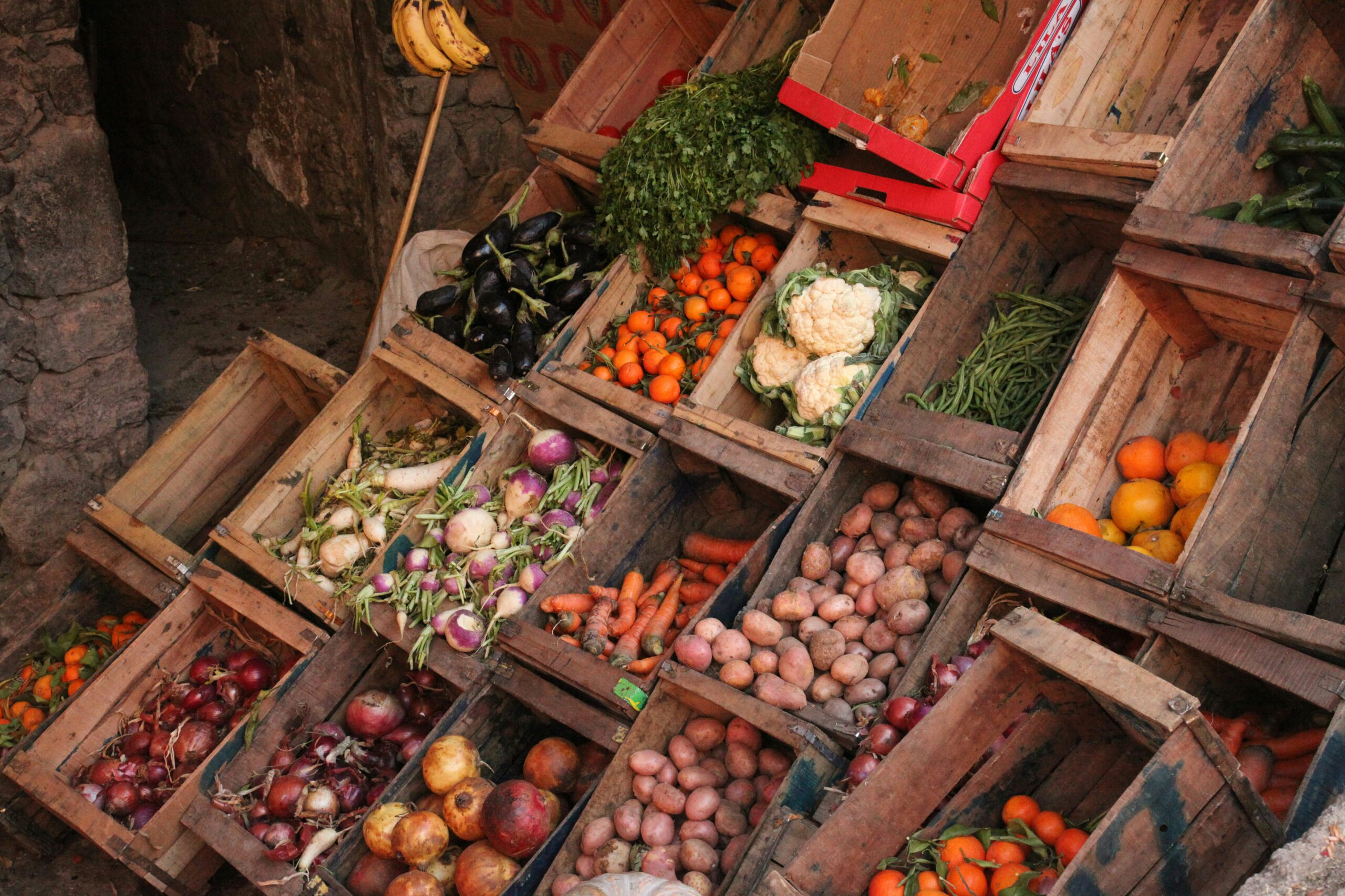 We have the capital. We have the interventions. So why aren’t food systems becoming more resilient?