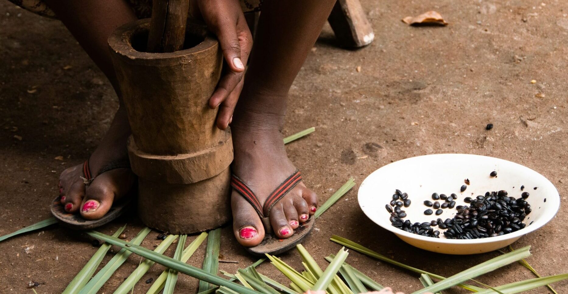 Before Ethiopia could scale regenerative agriculture, it had to make it Ethiopian